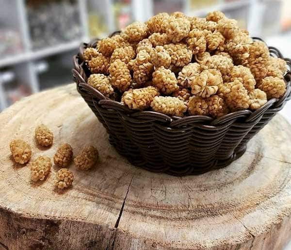 قیمت توت خشک درجه یک با کیفیت ارزان + خرید عمده